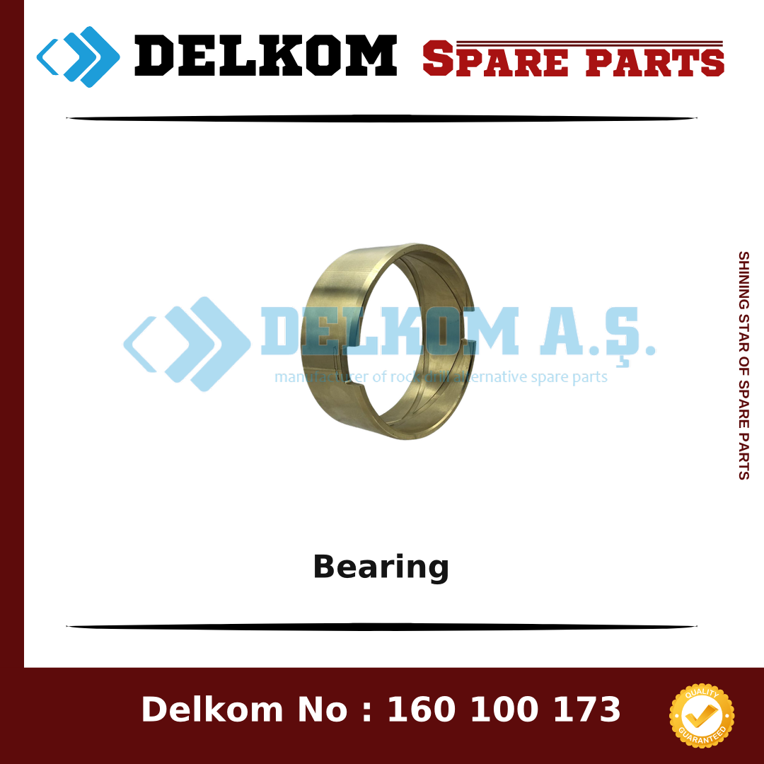 Soosan Bearing spare part, OEM 160 100 173